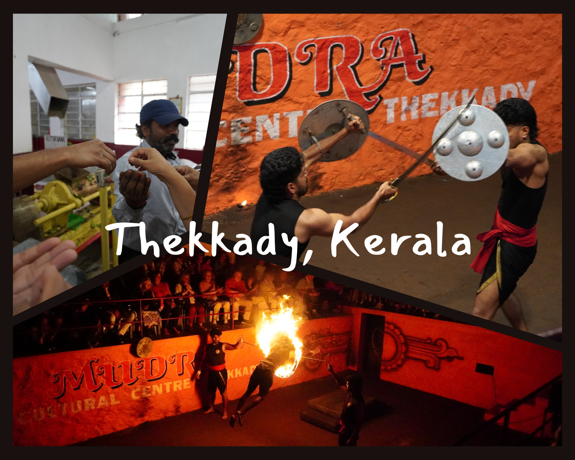 Thekkady photos